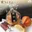 マロン スイーツ 栗きんとんパイ 5個入秋 季節 限定 お菓子 プチギフトにぴったり!個包装 お礼 パイ まんじゅう 1,955円