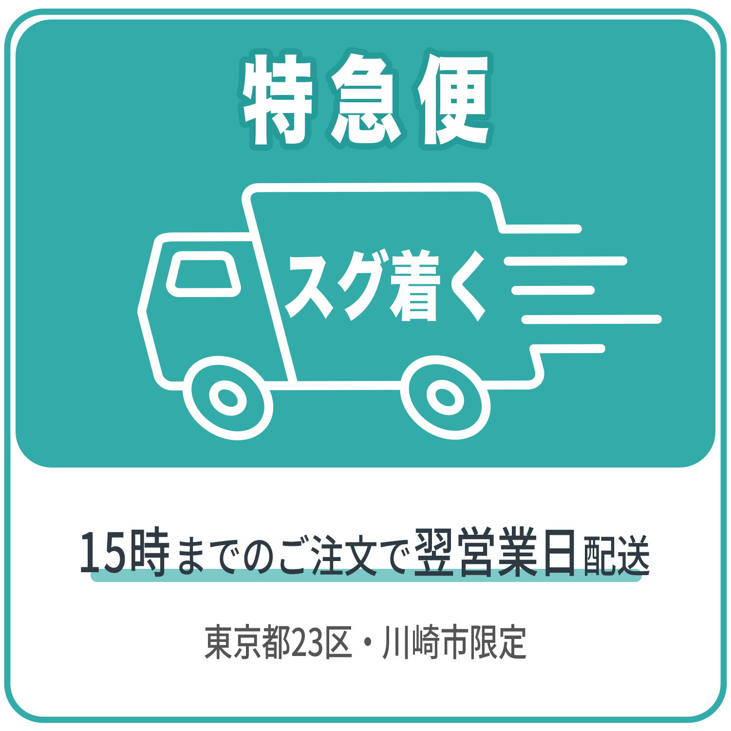 【東京都23区・川崎市限定】特急便チケット 15時まで
