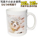 【20〜29個】【写真のみコース】オリジナルマグカップ 記念品 誕生日 母の日 父の日 敬老の日 お祝い 記念日 プレゼント 全面写真プリント オリジナル マグ...