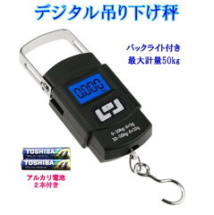 https://thumbnail.image.rakuten.co.jp/@0_mall/good-item/cabinet/06842618/compass1554783683.jpg