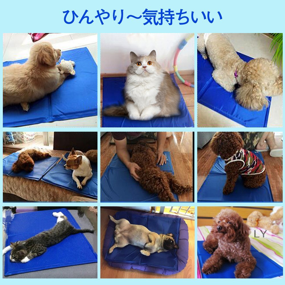 ペット用 ひんやりシート 犬猫用 Sサイズ　30×40cm 多用途 ひえひえ爽快 冷却マット 熱中症対策 パッドクール 涼しい ペットベッド夏用 猫ひんやり エコクーラー クールジェルマット 犬用 犬猫 夏 熱中症・暑さ対策【ポイント消化】