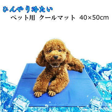 ペット用 ひんやりシート 犬猫用 Mサイズ　40×50cm 多用途 ひえひえ爽快 冷却マット 熱中症対策 パッドクール 涼しい ペットベッド夏用 猫ひんやり エコクーラー クールジェルマット 犬用 犬猫 夏 熱中症・暑さ対策【ポイント消化】