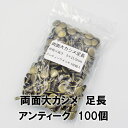 【ネコポス可】両面大カシメ足長 アンティーク(外径9mm×高さ11.5mm)100組入