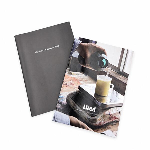 《Lized 塗料色見本》Lized Color Chart