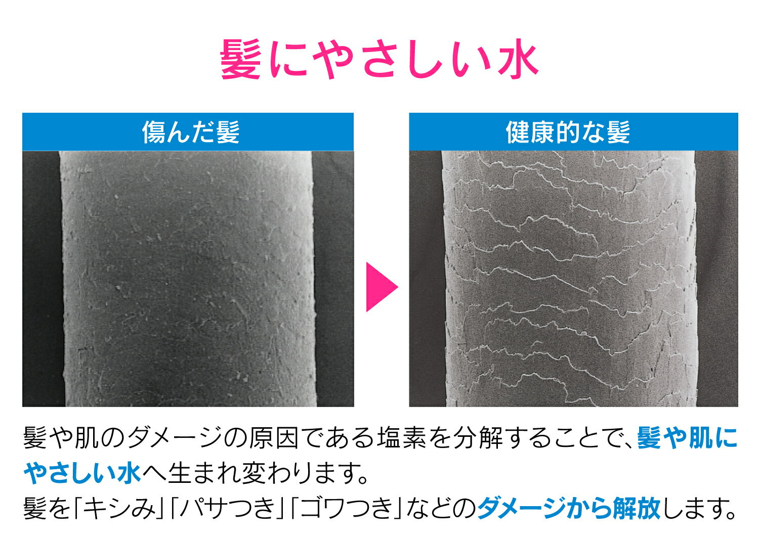 GA-FH035�����쥫�� �����إåɤȥۡ����Υ��å� ���� �緿 ��ȱ��ȩ�ˤ䤵���� ���ǽ��� ��� �ۥ磻�ȡ�