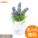 結婚祝い 新築祝い 名入れ 観葉植物 -CT触媒グリーン ラベンダー [開店祝い 店名入り 誕生日プレゼント フェイクグリーン ママ友達 美容室 おしゃれ 友人...