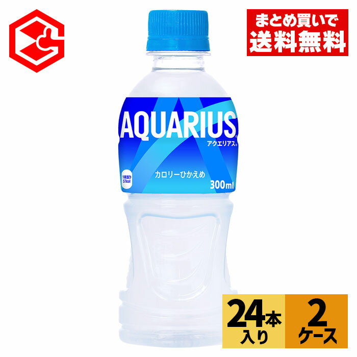 コカ・コーラ アクエリアス 300ml ペットボトル 24本入り×2ケース【送料無料】