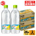 コカ・コーラ い・ろ・は・す 塩とれもん 540mlペットボトル 24本入り×2ケース【送料無料】