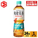 コカ・コーラ お茶 爽健美茶 健康素材の麦茶 600ml ペットボトル 24本