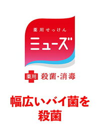 ミューズ3個【数量限定！在庫限り！】 大容量3個入り！　95g×3 薬用　石鹸　デオトランド石鹸　殺菌 消毒 【コストコ通販】.