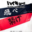 ハイキュー!! 公認 クリアポーチ 付 冷感タオル 全5種 ひんやり 濡らすだけ 子供 熱中症対策 アウトドア 横断幕 鳥野高校 青葉城西高校 音駒高校 梟谷学...