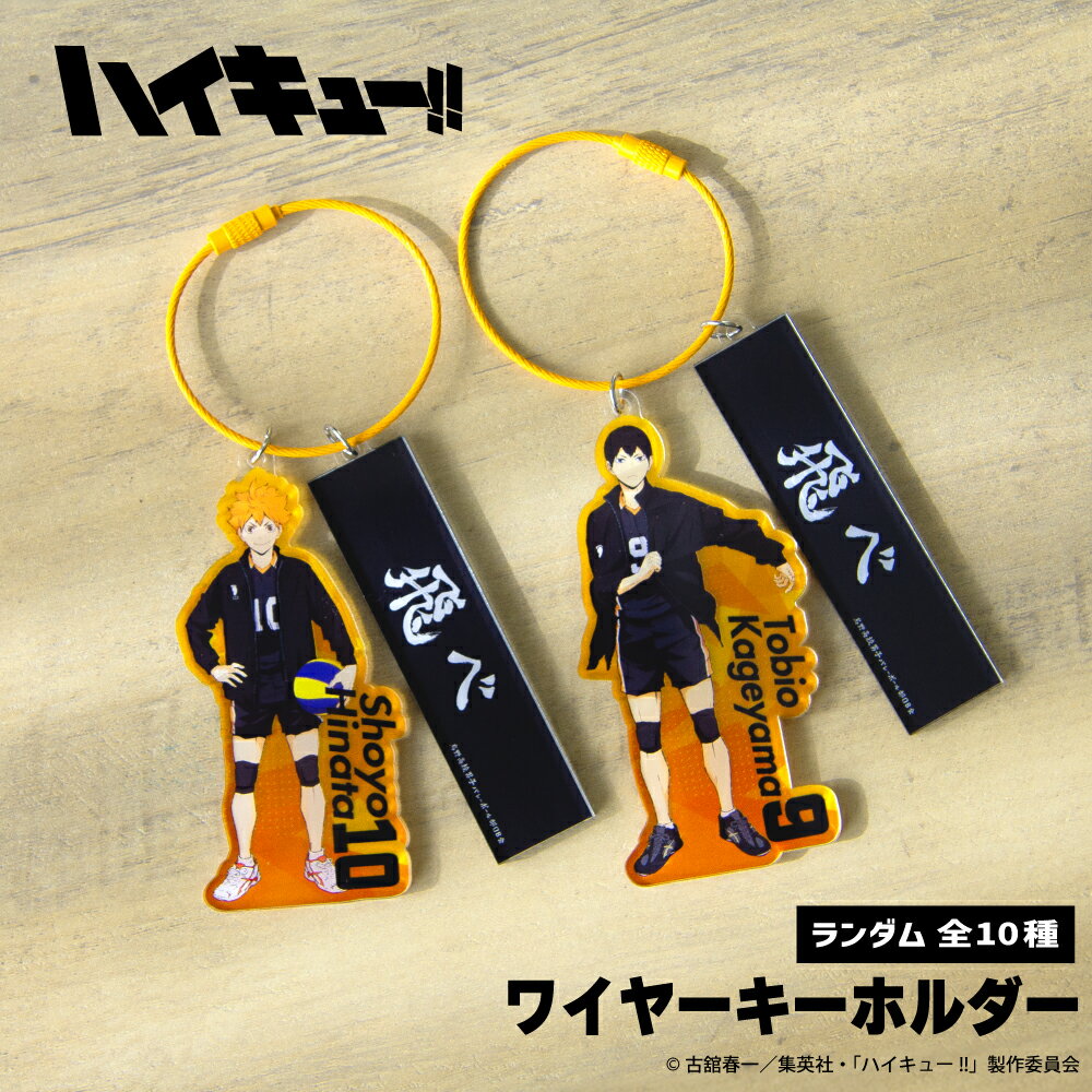 ハイキュー!! 公認 ランダム ワイヤー キーホルダー 10種 2連 シークレット トレーディング コンプリート Box 鳥野高校 青葉城西高校 音駒高校 梟谷...