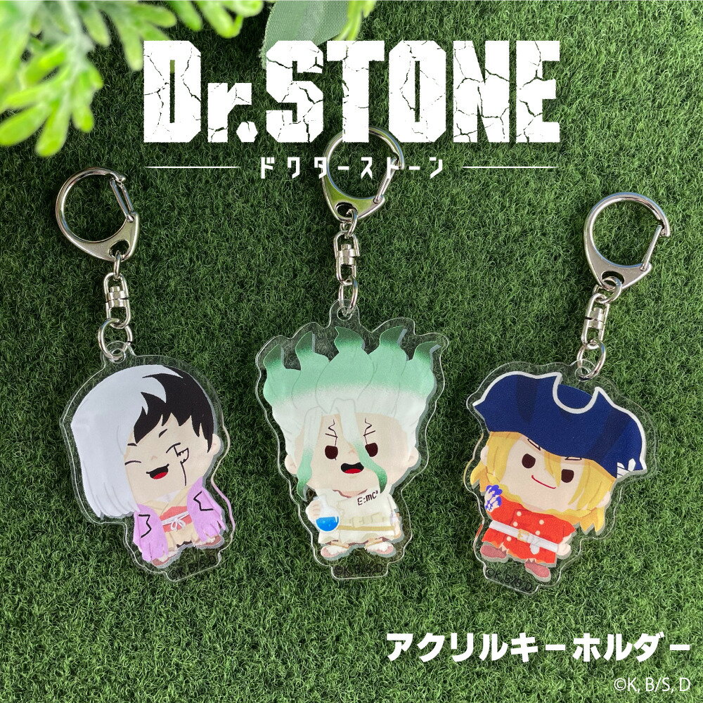 Dr.STONE 公認 アクリル キーホルダー アクキー keychain アクリル 8種 書き起こし イラスト グッズ 大人 子供 キッズ イラスト かわいい