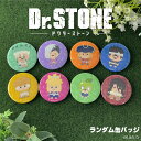 Dr.STONE 公認 ランダム 缶バッジ 9種 シークレット トレーディング コンプリート Box 全9種 書き起こし イラスト 雑貨 グッズ 大人 子供 キ...