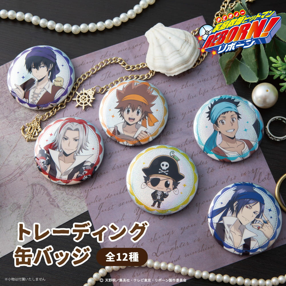 【予約:11月上旬発送予定】家庭教師ヒットマンREBORN! 公認 描き下ろし パイレーツ ランダム 缶バッジ 12種 シークレット トレーディング コンプリー...