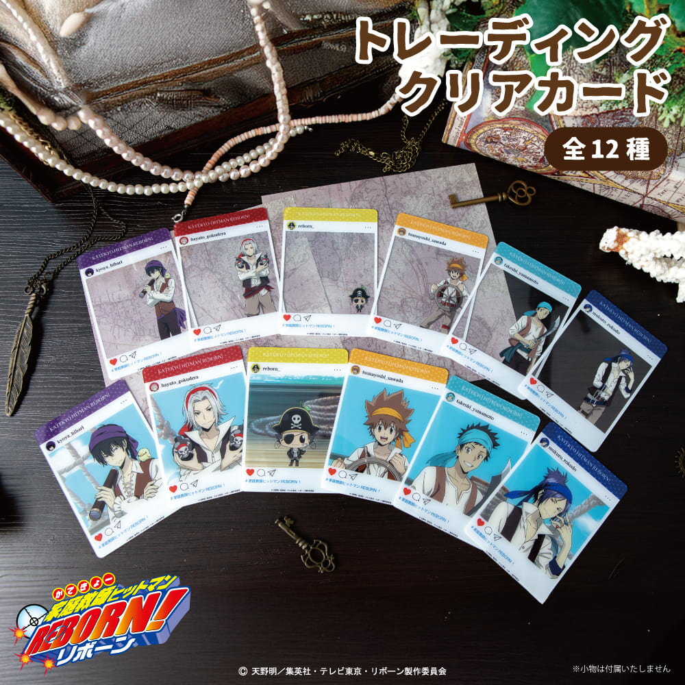 【予約:11月上旬発送予定】家庭教師ヒットマンREBORN! 公認 描き下ろし パイレーツ ランダム クリアカード 12種 シークレット トレーディング コンプ...