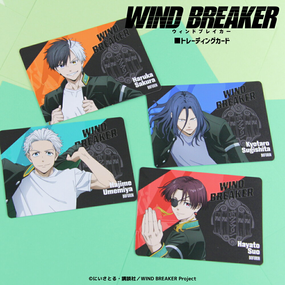 WIND BREAKER ǧ  ꥢ 10 å ȥ졼ǥ ץ꡼ Box å  Ҷ å 饹 襤...