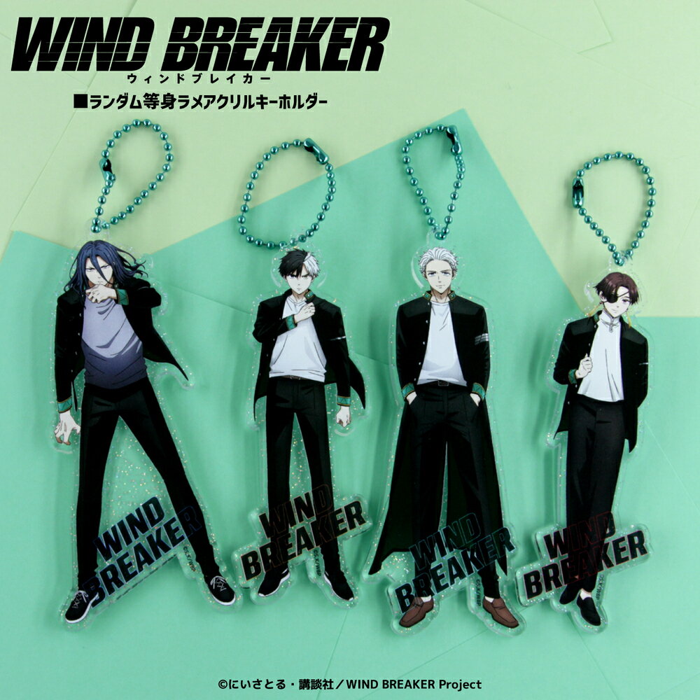 WIND BREAKER ǧ     ۥ 10 å ȥ졼ǥ ץ꡼ Box å  Ҷ ...