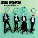 WIND BREAKER 公認 ランダム 等身 ラメ アクリル キーホルダー 10種 シークレット トレーディング コンプリート Box グッズ 大人 子供 キ...