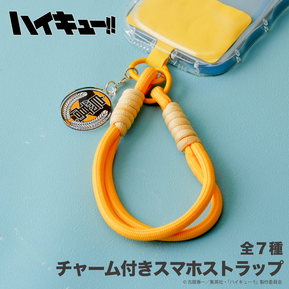 ハイキュー 二口堅治ラバーストラップ 30個セット 楽天市場】ハイキュー 二口 ストラップの通販