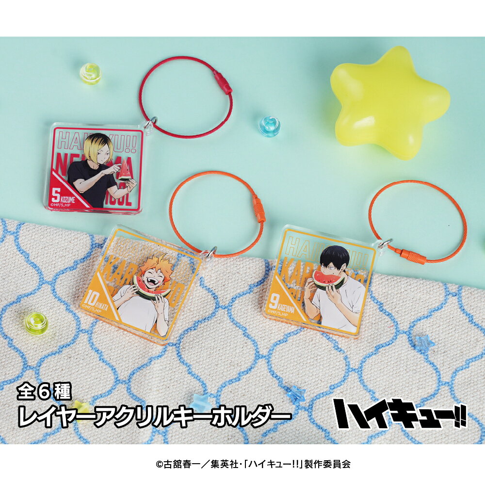 【予約 10月中旬以降発送】ハイキュー!! スイカ レイヤーアクリルキーホルダー アニメ 描き起こし ワンタッチキーホ…