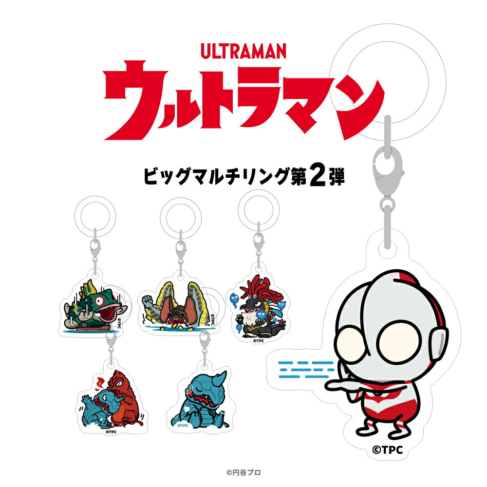 ビックリマンキーホルダー5種類セット ビックリマン スーパーゼウスとヘラクレス キーホルダー2個セット キーホルダー・アクリルキーホルダー