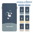 モバイルバッテリー 軽量 小型 タイプc ライトニングケーブル かわいい ケーブル内蔵 5000mAh Qi対応 バッテリー 置くだけ 充電 コード収納式 lightning Type-C コンパクト すぺらび シリーズ