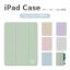 ̾ iPad  ڥǼ 襤 10 9 8 7 6 iPad 10.9 10.2 iPad Air5 Air4 iPad mini6 Pro 11 12.9 С ѥƥ ץ İ