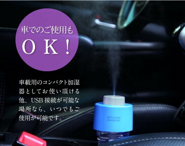 加湿器 卓上 ペットボトル 消されるなこの想い 忘れるな我が痛み 加湿器 卓上 ペットボトル 消されるなこの想い 忘れるな我が痛み