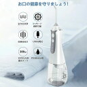 口腔洗浄器 ジェットウォッシャー 美歯器 ウォーターフロス 口腔洗浄機 歯間ジェット洗浄 歯垢洗浄 口臭防止 口腔ケア 歯間ポケット 歯茎ケアー 歯垢落とす 歯...