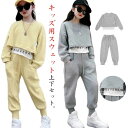 【送料無料】春服 ダンス衣装 子供ジャージ キッズ スウェットパンツ 2点セット ジャージ 長袖 トレーナー セットアップ 上下セット 男の子