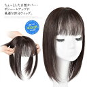 【送料無料】人工頭皮 スキン リアル 脱毛 かつら 女性用 ヘアピース つむじ 分け目 増毛 白髪隠し 脱毛症 薄毛 自然 ミセス ウィッグ