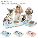 【送料無料】ペットボウル ダブルボウル 犬用 猫用 ペット食器 給水器 給餌器 ペット用 食器 お水入れ 餌入れ 斜め 食べやすい 取り外し 洗える