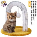 【送料無料】コンパクト猫玩具 おもちゃ付き ボール 猫のおもちゃ 猫おもちゃ 猫じゃらし 安定 子猫 ペット用品 知育玩具 省スペース 転倒防止 遊び場 可愛い...