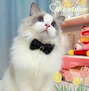 【送料無料】犬 猫 首輪 犬首輪 犬の首輪 猫首輪 おしゃれ かわいい 猫の首輪 キラキラ 小型犬 小型犬首輪 中型犬 中型犬首輪 犬猫用 子犬 子猫 安全 リ...