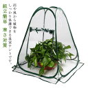 【送料無料】寒さ対策 組立簡単 花園温室 フラワーハウス 植物カバー 温室棚 ガーデン 家庭用 小型 ビニールハウス