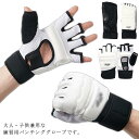 【送料無料】練習 打撃 総合格闘技 大人用 ボクシング テコンドー 子供用 グローブ ボクシング フットガード