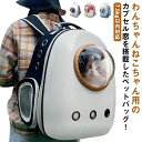 【送料無料】通院 小型犬 犬 猫 窓付き バッグ ペットリュック ウサギ 窓 ペットキャリーバッグ ペットキャリー