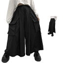【送料無料】ゆったり カーゴパンツ サルエルパンツ 袴パンツ スカートパンツ メンズ ワイド 春秋冬 ワイドパンツ イージーパンツ