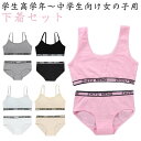 【送料無料】ノーワイヤー 薄手 インナー ショーツ 大人 ジュニア 上下セット 子供 キッズ 下着セット 小学生