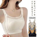 【送料無料】単品 ノーワイヤー ブラジャー フルカップ 胸元カバー スッキリ 胸を小さく見せるブラ 脇肉 ブラジャー(4)