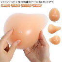 【送料無料】乳がん用 ブラパット 手術後 【乳がんパット+専用カバー】2点セット パッド(4)