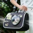 【送料無料】バッグ キャリーバッグ 猫 キャリー 軽量 小型犬 通気性 洗える ペット バックパック お出かけ 旅行 通院 電車移動