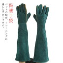 【送料無料】爬虫類 ペットショップ キャンプ ペットトレーナー 保護手袋 虫刺され対策 園芸 飼育 牛革製グローブ 厚手 60cm 手袋 噛みつき