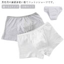 【送料無料】個包装 出張 大きいサイズ 入院 10枚セット 非常時 ディスポ 大人用 ストレッチ パンツ コットン100% 選べる2タイプ 病院