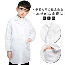 【送料無料】給食 配膳 子ども 園児 学童 学校 女の子 白衣 前開き ポケット付き 給食白衣 学童用 男女兼用 袖ゴム 小学校 男の子 襟付き