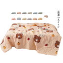 【送料無料】薄型 ブランケット 軽量 掛ふとん 涼しい 丸洗い 夏用 掛け布団 薄型 冷房対策 洗える お昼寝 夏掛け布団 掛け布団 冷感布団