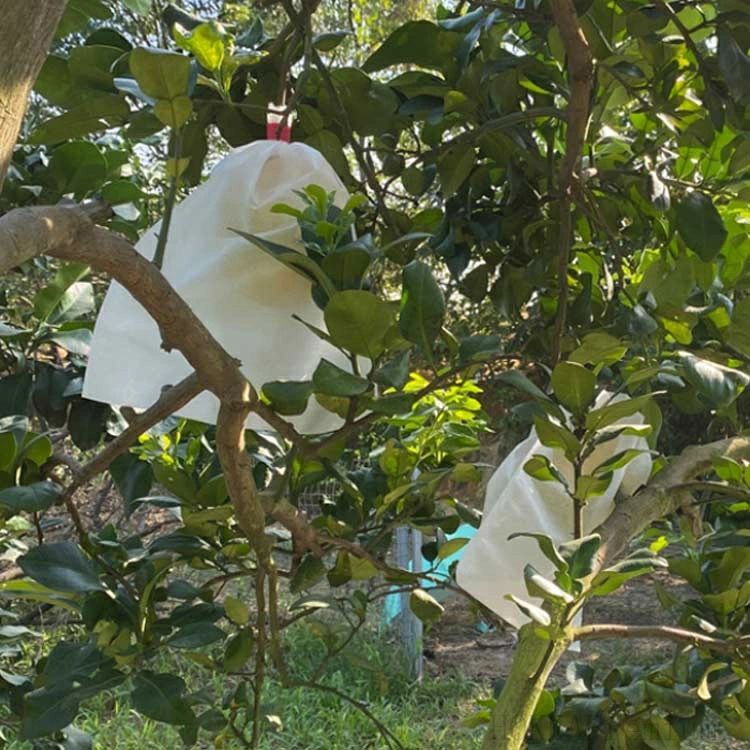 害虫鳥よけ網 果物 不織布 防鳥 植物 防虫 農業用 巾着結びやすい 20*25cm 保護 10...