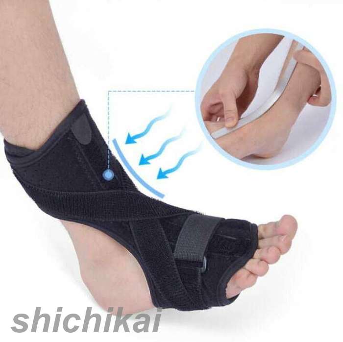 ­󥵥ݡ ­ ݡ ­   ­ιˤ߷ڸ ­󥵥ݡ ݸå ե꡼  ̥٥