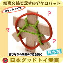 【名入れ可】木のパズル（頭脳開発器）知恵の輪 手と頭を使う 木のおもちゃ 脳トレ パズル 知育玩具 木のパズル 誕生日ギフト 出産祝い 男の子＆女の子 日本製 積み木 国産 1歳 2歳 3歳 4歳 5歳 6歳 7歳 型はめ 脳トレ